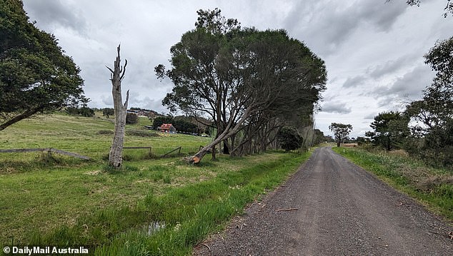 The remote dirt road leading to the Amorosi hut