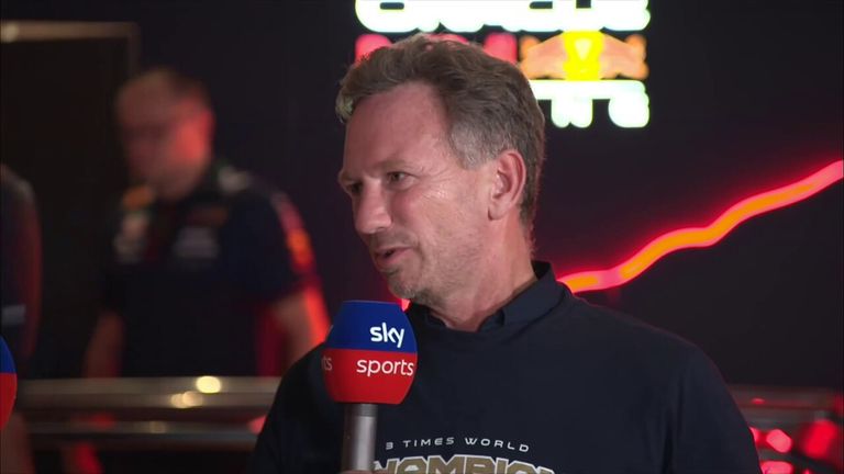 Red Bull boss Christian Horner says Max Verstappen can consider himself one of the sport's 'greats' after winning his third consecutive world title.