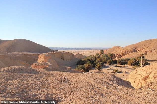 Theory: Research in the Arabian Peninsula previously indicated that the once-green land route that is now desert (pictured) was favored by early humans traveling northward