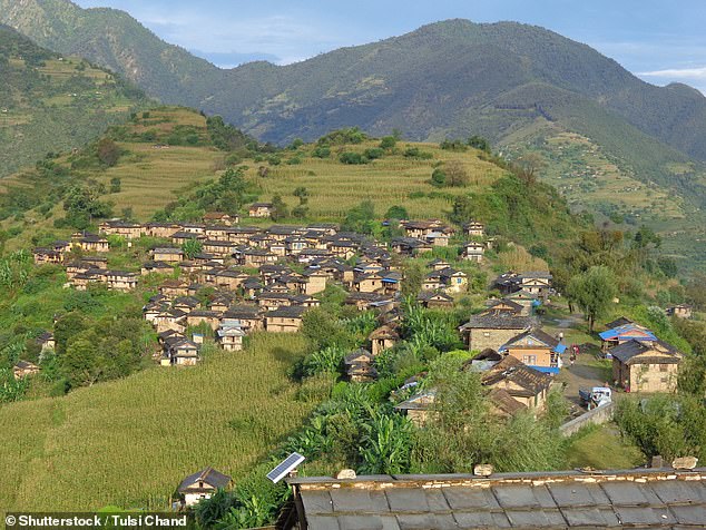 Ms Hodgkins' 80-hour ordeal began in a rice field in Rukum, Nepal in the foothills of the Himalayas (pictured)