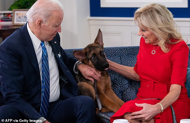 Joe and Jill Biden with Commander, which they received as a gift in 2021