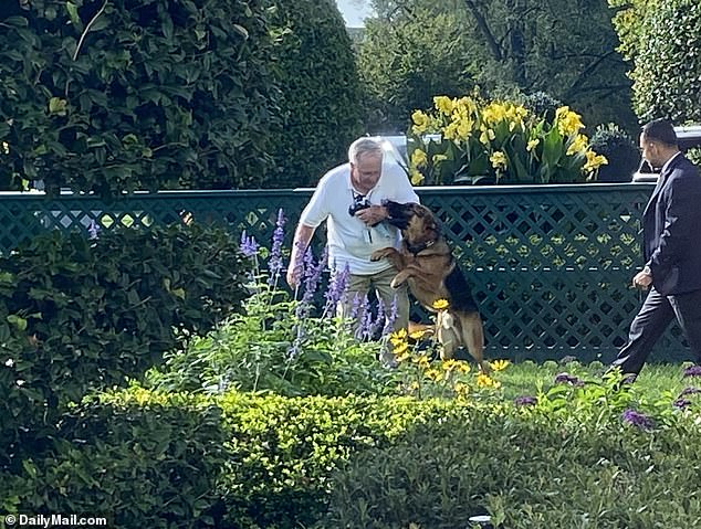 A photo obtained exclusively by DailyMail.com shows the Commander biting yet another White House staffer last month