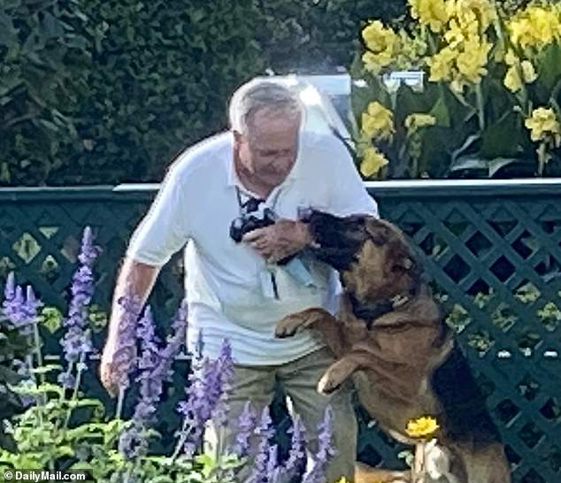 The incident, which was inadvertently caught on camera by a tourist taking pictures on September 13, shows the two-year-old German Shepherd sinking his teeth into the left arm of infielder Dale Haney.