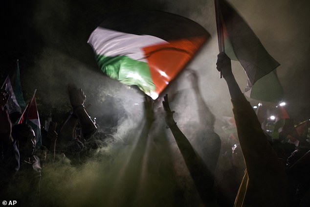 Palestine supporters were seen waving flags in Tehran