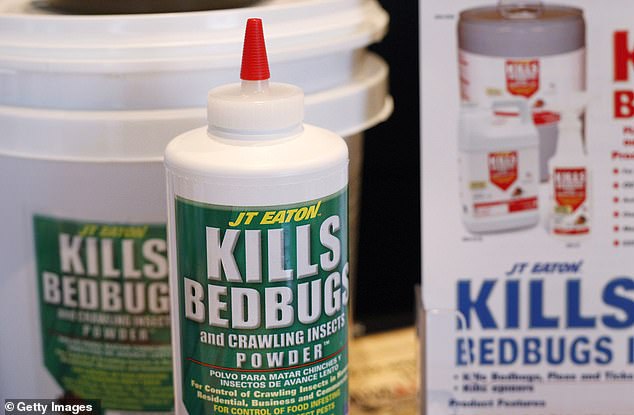 You must take several steps to ensure the death of bed bugs and potential eggs that may have been laid.  Powder is an excellent way to ensure their death, but it can take 7-17 days for results