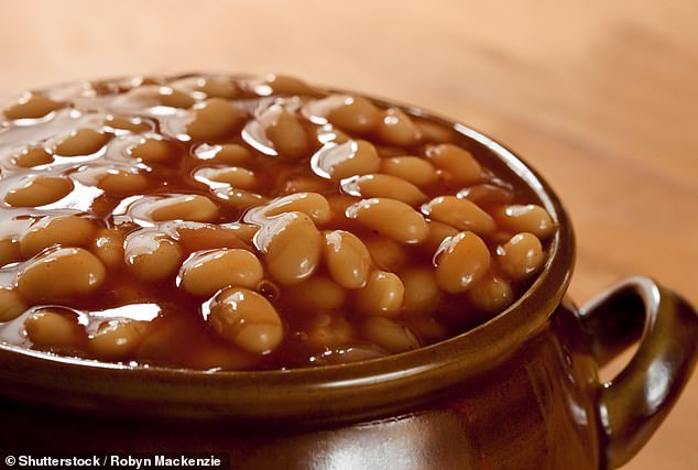 History: Traditionally, baked beans are mostly sourced from overseas markets in the United States, Canada, Ethiopia, and China due to the specific climate and soil requirements needed for their successful cultivation.