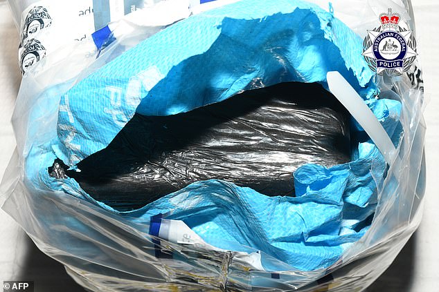 The drugs, which have a street value of $40 million, were allegedly hidden in five bags - each containing 20kg of cocaine - in the passenger plane's cargo hold (pictured)