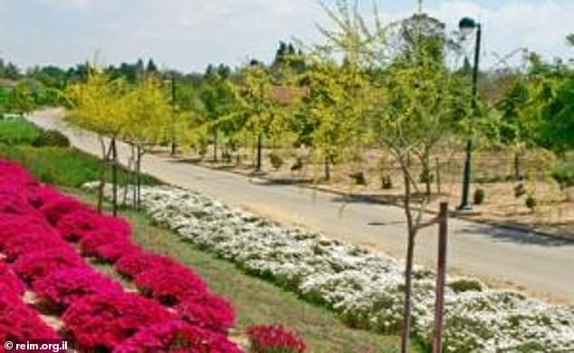 Gardens around Kibbutz Re'im, in southern Israel before Hamas attacked