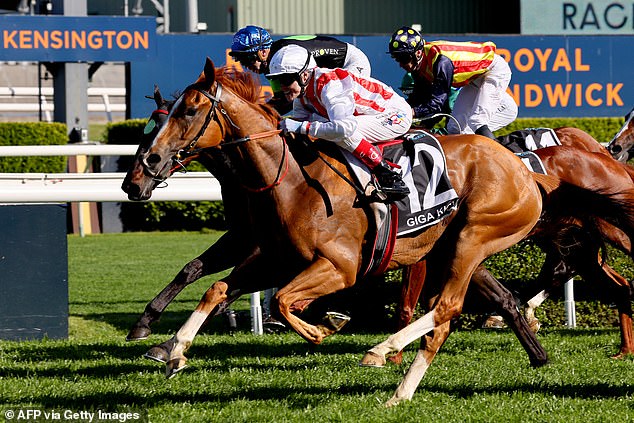 The 40-year-old will be hoping to follow in the footsteps of Craig Williams after he rode the Giga Kick to victory on last year's Everest (pictured)