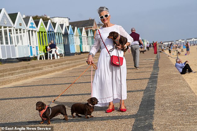 Liz Hewitt with her family's dachshunds attending the world's largest annual gathering of sausage dogs