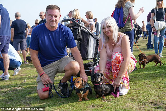 Mark O'Donnell and wife Roxanne with their two dachshunds including Woodie who is on wheels