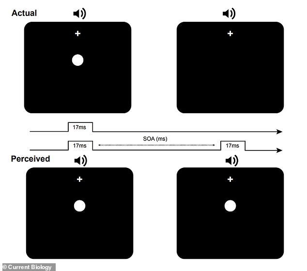 Participants were asked to take a test in which they had to indicate whether they could see one or two flashing images on the computer screen.  Here, one flash and two beeps (top row) were incorrectly perceived as two flashes and two beeps