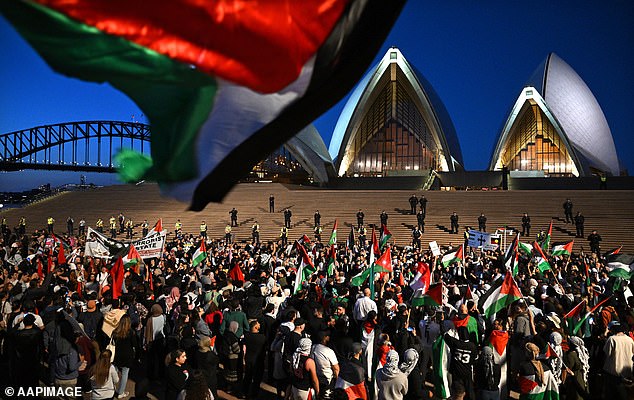 Several hundred people gathered on the steps of the Opera House unhappy with the NSW government's decision to light the sails with the Zionist flag