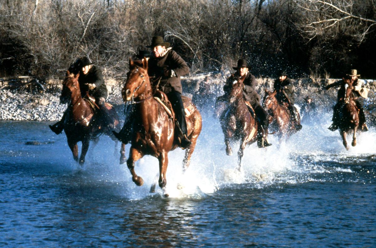 A group of fit horses on the river in Silverado