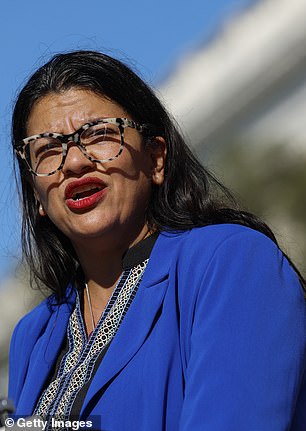 In a statement Rep.  Rashida Tlaib refers to Israel as an 'apartheid government' which is responsible for the 'suffering' that the attacks have caused.