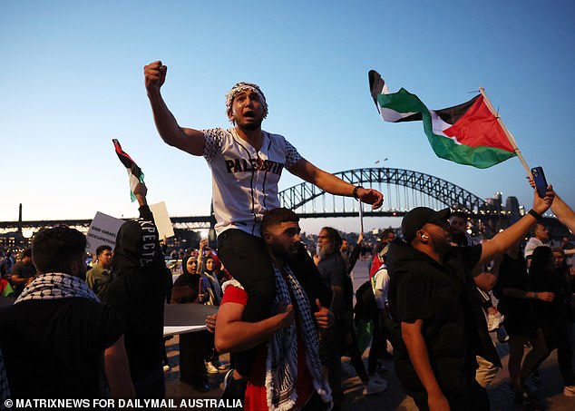 Pictured: Pro-Palestinian supporters are seen at the Opera House rally