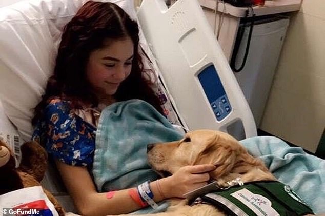 Gonzalez is pictured in a hospital bed with a therapy dog