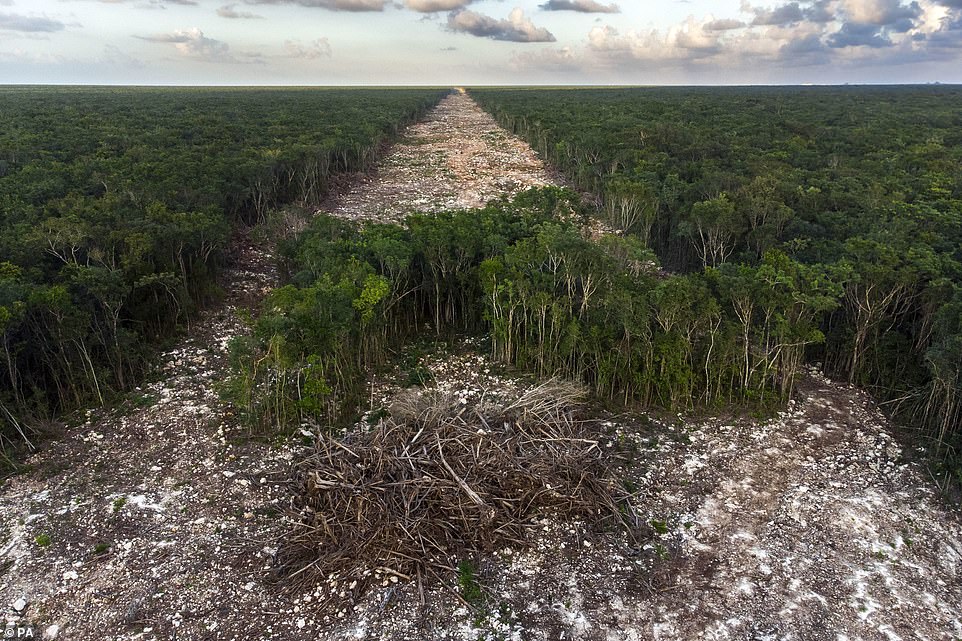 'Bulldozer of tourism', of the route of a new tourist railway line in Paamul, Quintana Roo, Mexico, by Fernando Constantino Martinez Belmar, of Mexico