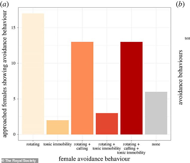 While observing 54 frogs in water-filled tanks, the researchers found that 83% of the females rolled onto their backs when grabbed by males.