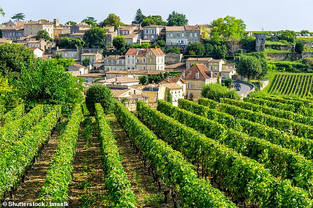 In the study, the researchers set out to investigate the link between climate change and wine quality by analyzing wine results in Bordeaux from 1950 to 2020 (stock image)