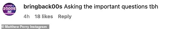 Someone's got to do it: Another fan wrote Perry was 'asking important questions tbh'