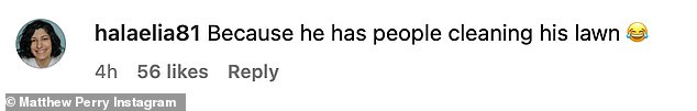 First World Problems: Some also took issue with the actor for his seemingly petty complaint, especially the privilege, as he himself did nothing on the lawn