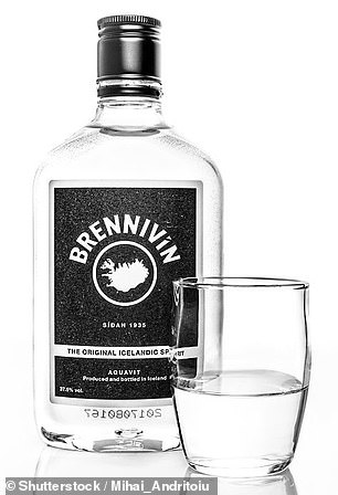 Pictured above is a bottle of Brennivin – Iceland's signature drink, which helps impart a delicious flavor to fermented shark meat.