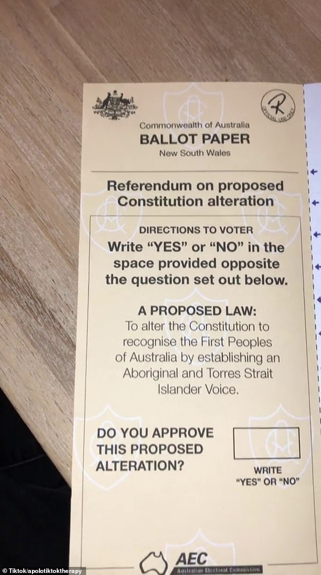 Voters who have the right to vote in the referendum must indicate whether they approve of the constitutional amendment by writing Yes or No on the ballot (pictured) where the CEC counts only votes that clearly indicate an answer to the proposed referendum question.