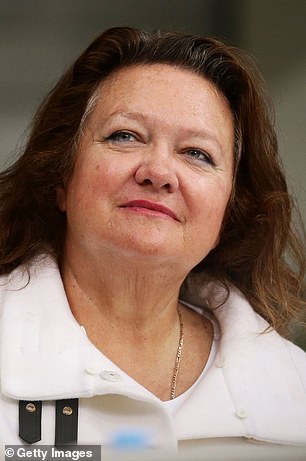 Rinehart withdrew her funding for the team