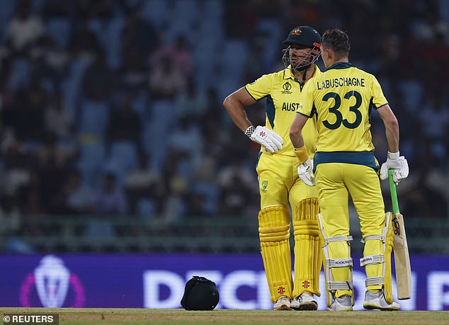 Marcus Stoinis, pictured with Marnus Labuschagne after losing his wicket against South Africa, has had a World Cup to forget so far in India.