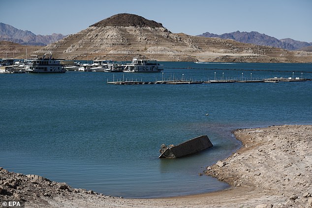 The amoeba has a 97 percent fatality rate, according to the Centers for Disease Control and Prevention