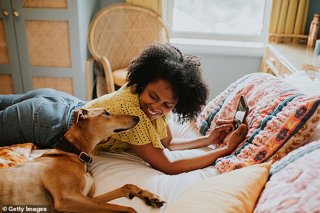 When it comes to being on the giving side of love, we pet, hug, kiss, spend quality time and provide our dogs and cats with high-quality food (stock photo)