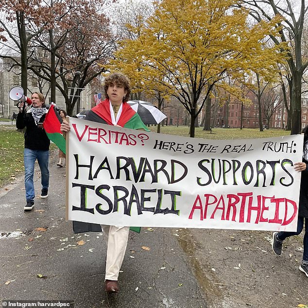 Harvard organizations, including the university's Amnesty International affiliate, blame Israel for Hamas' brutal terror attack