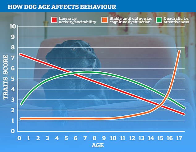 This chart shows how a dog's behavior changes as it ages.  Green shows how the brain develops and then begins to decline in senior years;  orange shows how some traits, such as cognitive decline, increase exponentially in a dog's geriatric years;  red shows the slow decline in a dog's activity and alertness