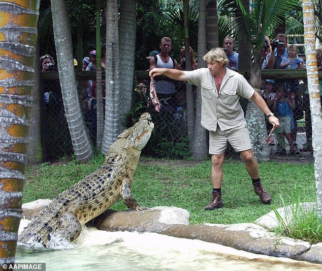 Irwin (pictured) died in September 2006, aged 44, after being stabbed in the chest by a barb while filming a wildlife documentary at Batt Reef in Queensland.