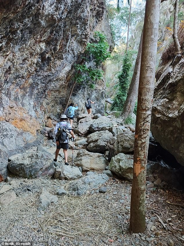 A Reddit post showed the tranquil bush setting in Northbrook Gorge in D¿Aguilar National Park in a post on Monday