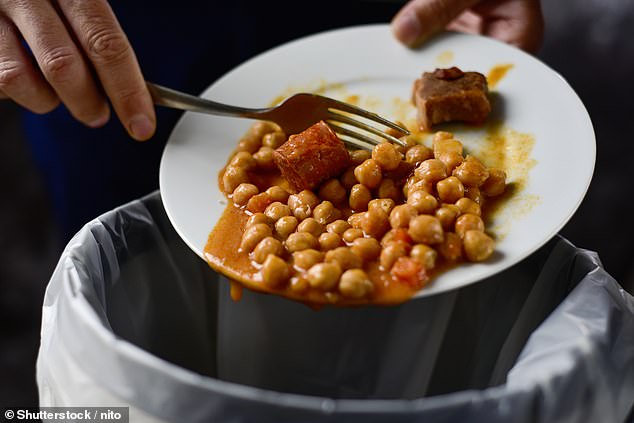 Food waste is a major problem in Britain, with Britons throwing away an estimated 9.5 million tonnes of food every year (stock image)