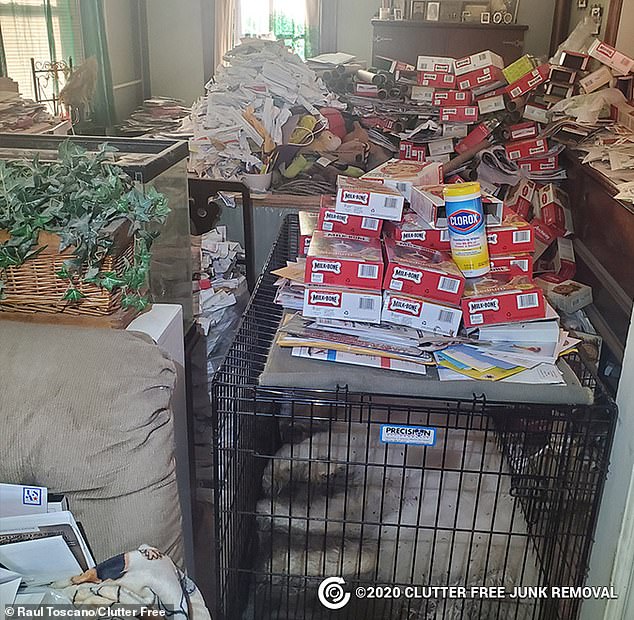 It is not uncommon for hoarders to collect animals thinking they are doing them a favor.  In reality, these environments are not suitable for animals.  The cleaning crew discovered a dead husky in his suitcase in a swanky New York apartment building