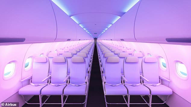 Airbus said: 'L Bins (above) are designed to be retrofitted within three to five days, which is Airbus' fastest and most cost-effective A320 retrofit solution'