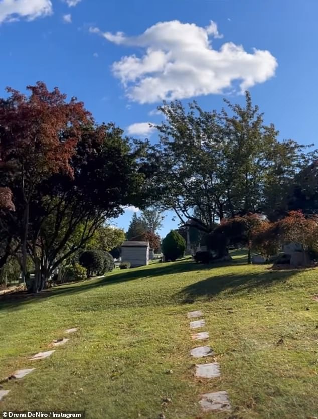 Sad: Drena shared a picture of a cemetery on a sunny day, more than three months after his death