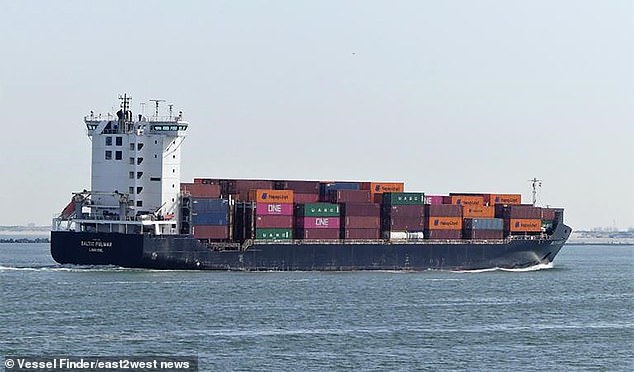 Estonian daily Postimees said the ship (pictured here) – flying the flag of Hong Kong but belonging to China – was near the Baltic Connector pipeline when 'seismic' activity was recorded in the area.