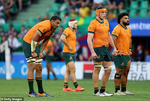 Wallabies coach says the squad he picked in France just wasn't good enough, but the future looks bright