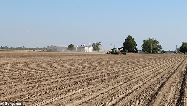 The Craighead County site has been owned for 35 years by Northrup King Seed Co., a subsidiary of Syngenta and ChemChina.