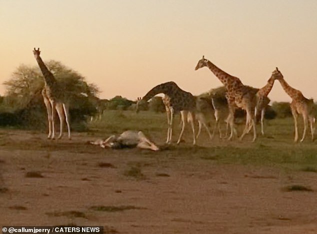 The photographer said he had tears in his eyes as he witnessed the scene