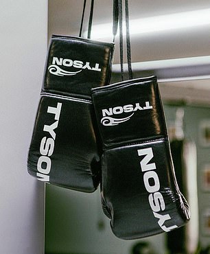 The iconic boxing brand includes four flagship products: standard gloves, professional gloves and focus mitts and bandages