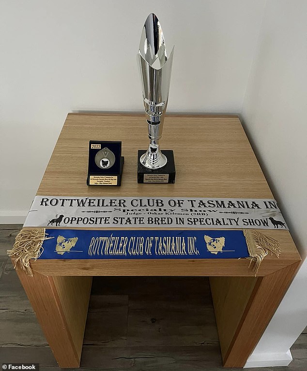 In the photo: trophies and ribbons that Ruben won last year at a Tasmanian dog show