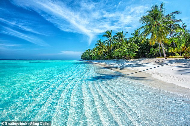 Stranded on Romantic Island will match couples at a speed dating event, then strand them on a desert island in nothing but their wedding attire