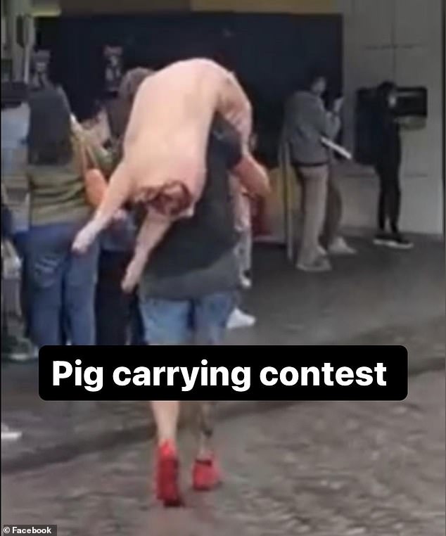 In July, a man was spotted in Eastwood carrying a huge pig carcass without protective gear