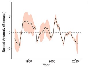 To show the crustacean's decline, the researchers took data and weighed specimens caught from 1970 to the present, using those weights to measure the overall health of the species.