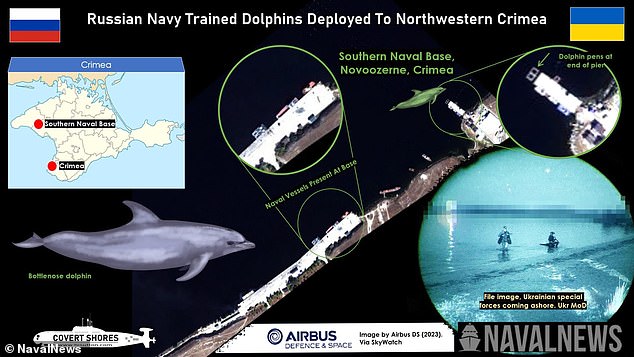 Novozerne is a former Soviet submarine base where Russia has deployed missile corvettes, landing craft and some support vessels, including a submarine support ship, says OSINT researcher HI Sutton, who analyzed satellite images to spot the dolphin enclosures